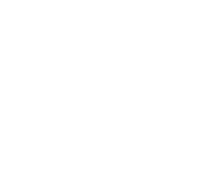 Sandy Palms logo - trees